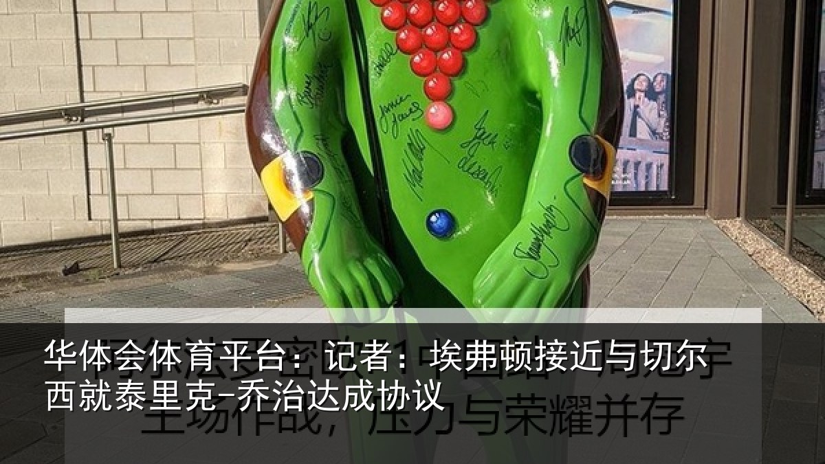 华体会体育平台：记者：埃弗顿接近与切尔西就泰里克-乔治达成协议
