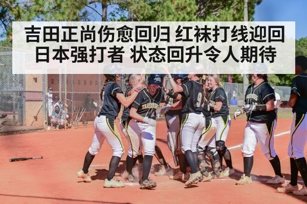 baseball home run celebration