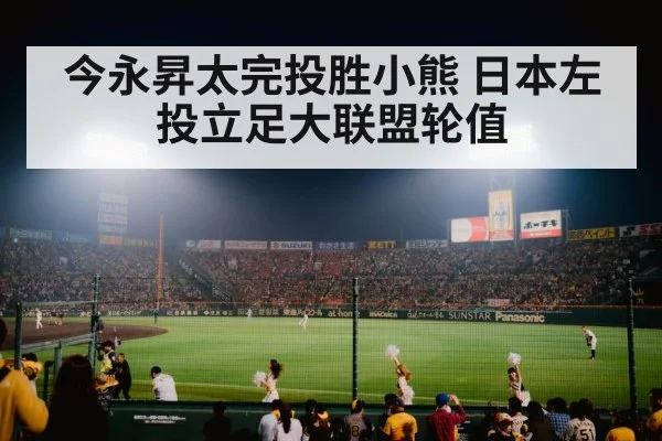 baseball stadium night game